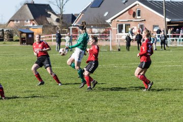 Bild 303 - F SG NieBar - IF Stjernen Flensborg : Ergebnis: 4:1